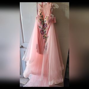 Blush Prom 2 piece Beaded dress and detachable skirt